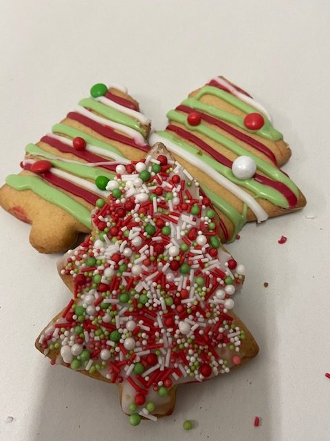 Gingerbread Christmas Trees (3)